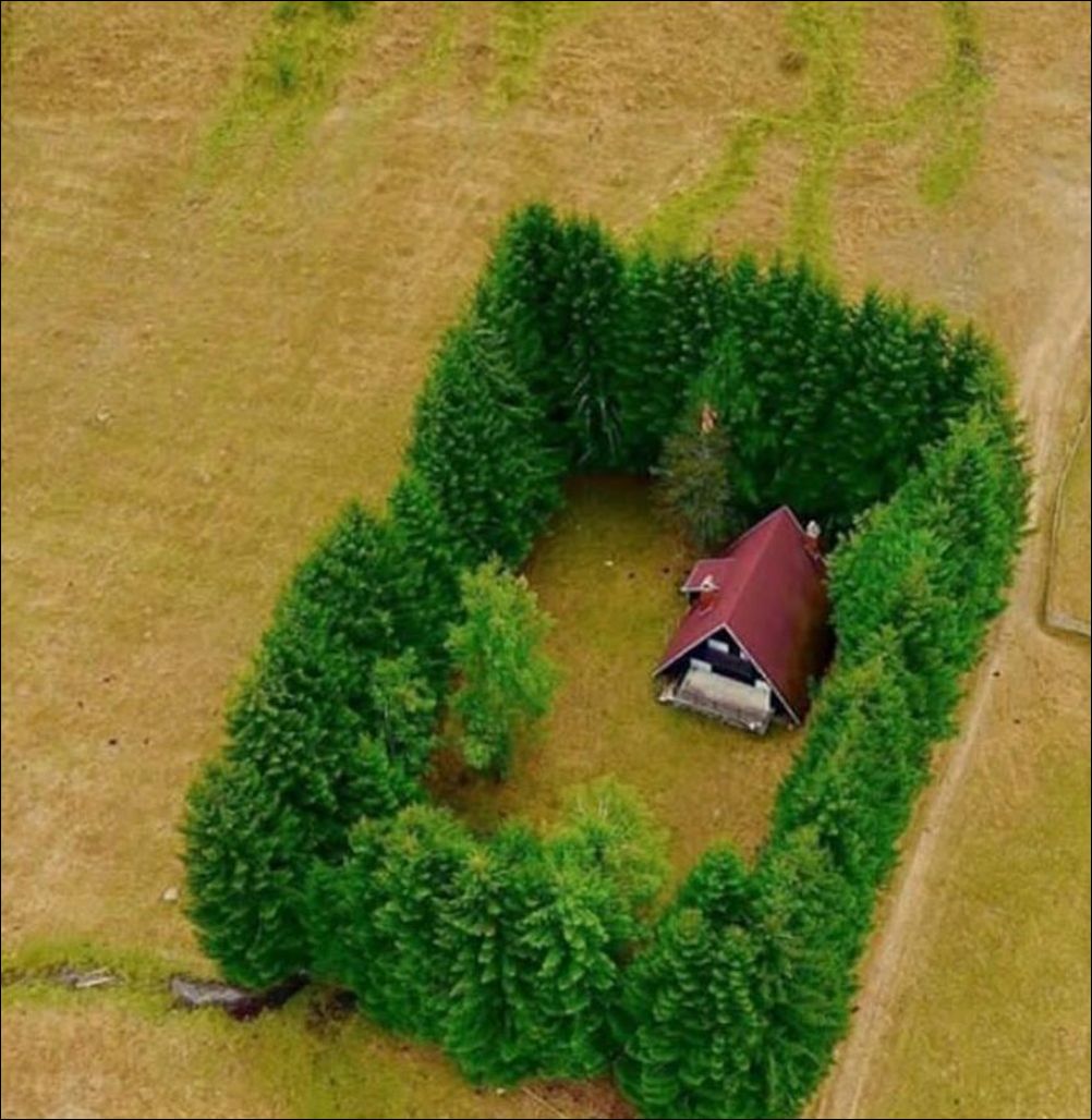 фото приколы