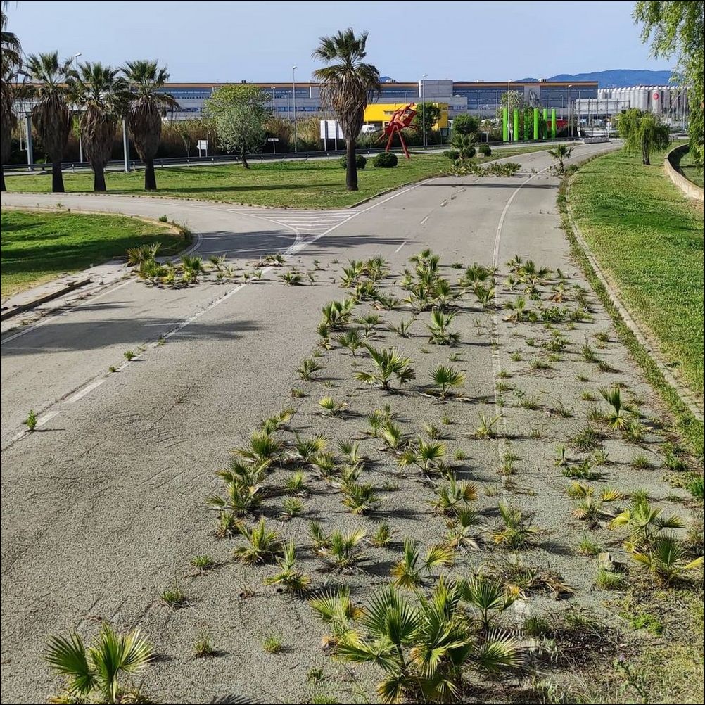 фото приколы