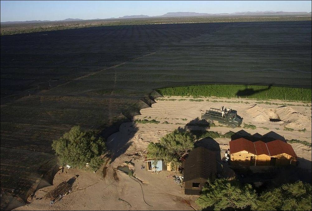 фото приколы