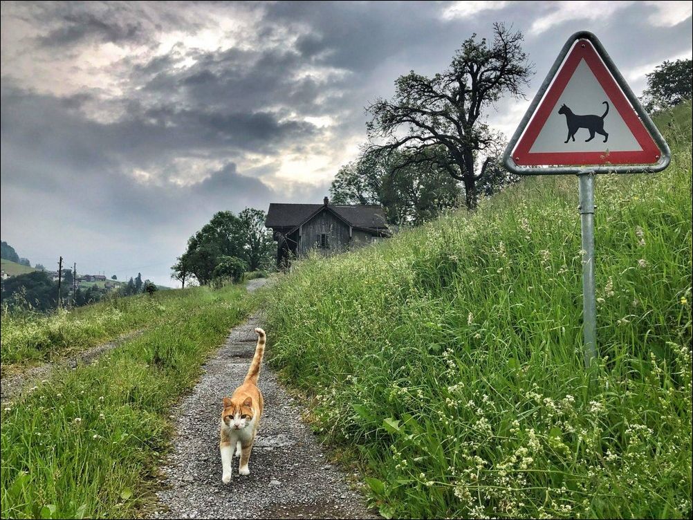 фото приколы