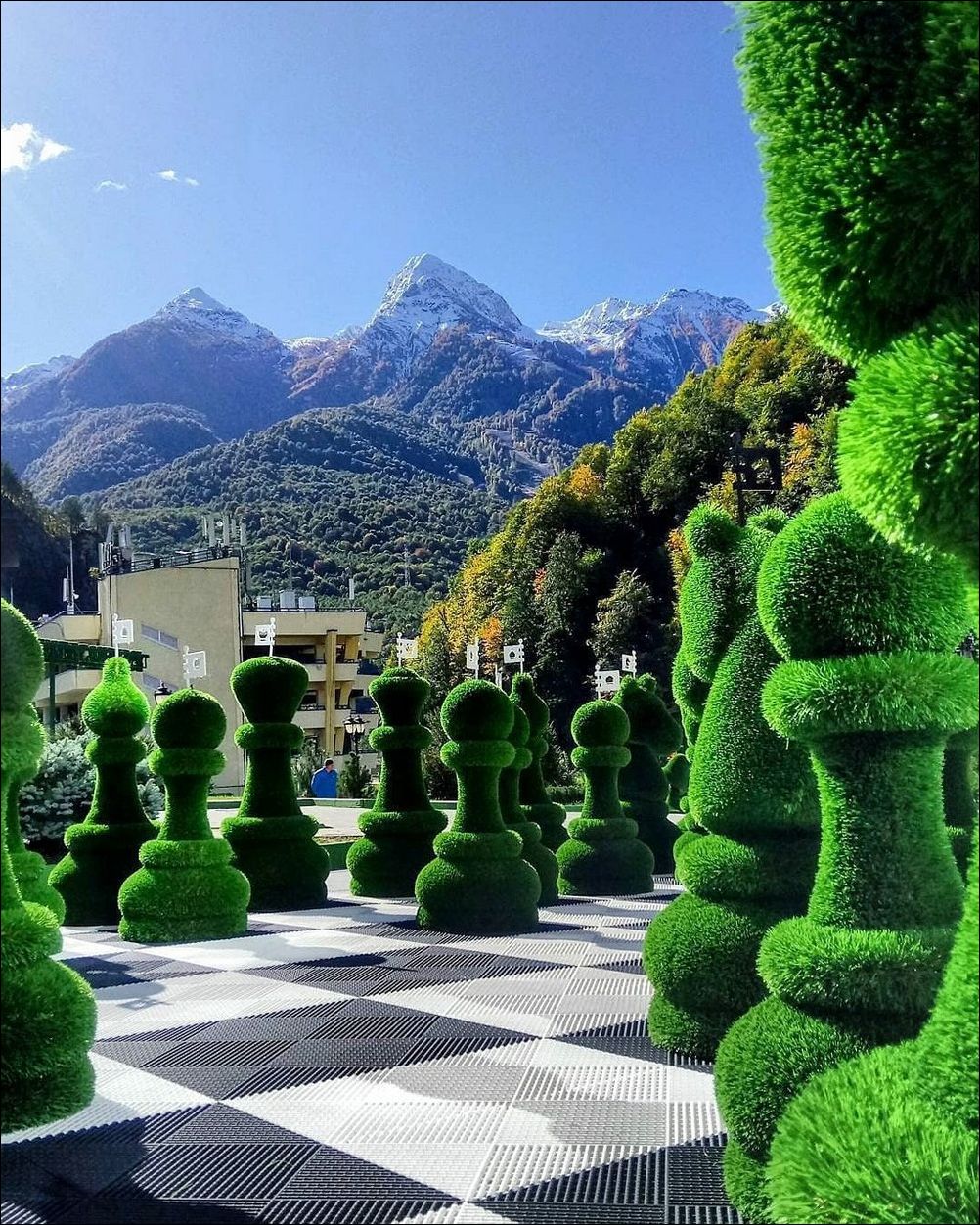 фото приколы