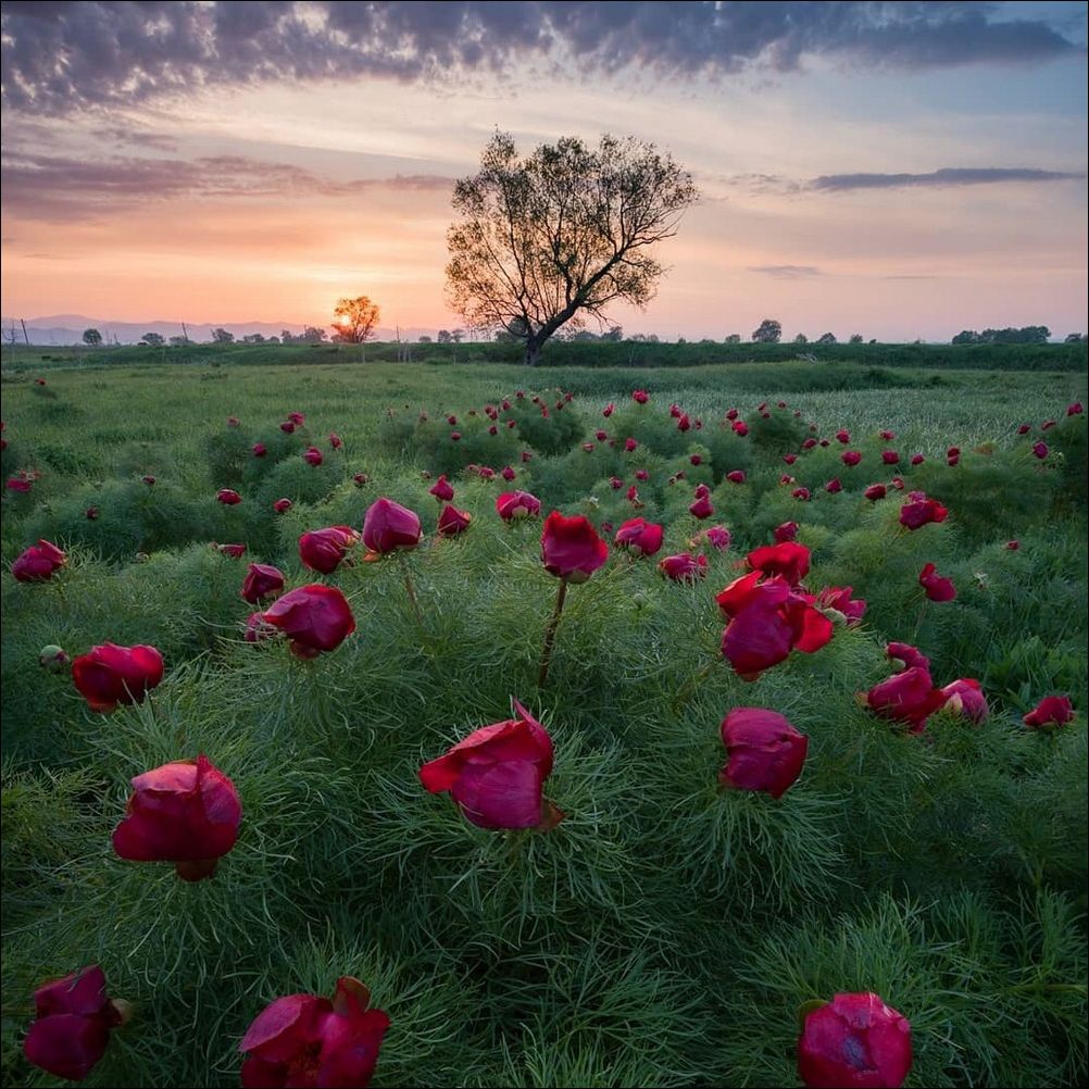 фото приколы