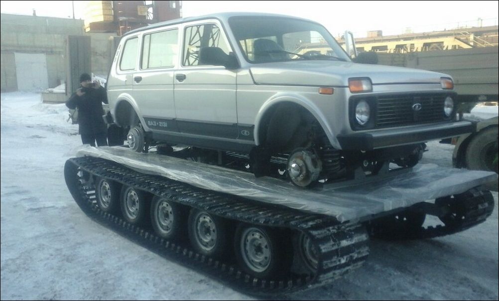 фото приколы