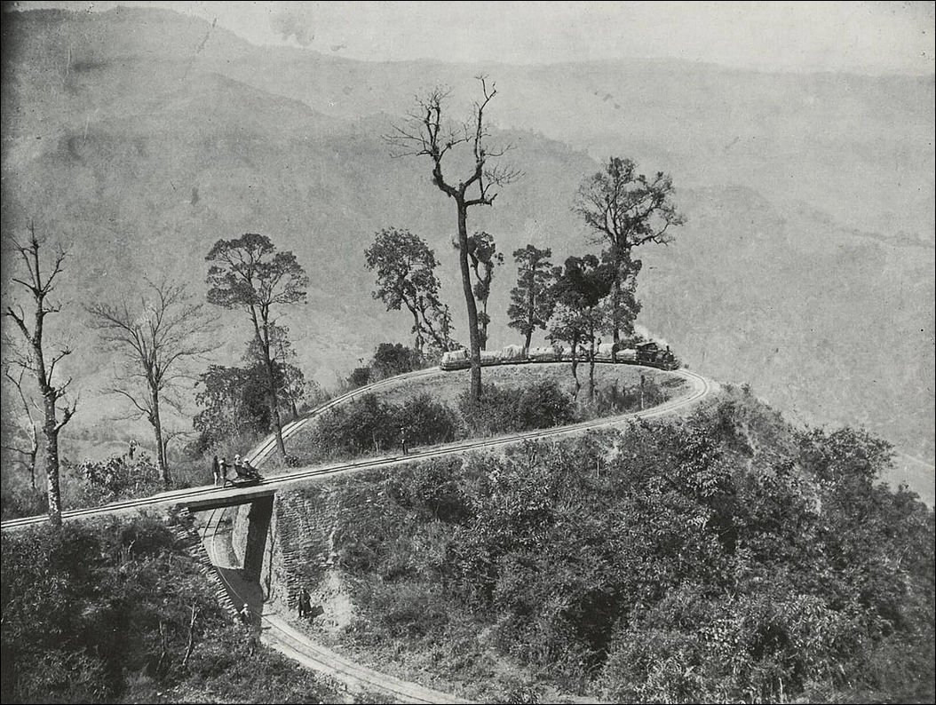 фото приколы