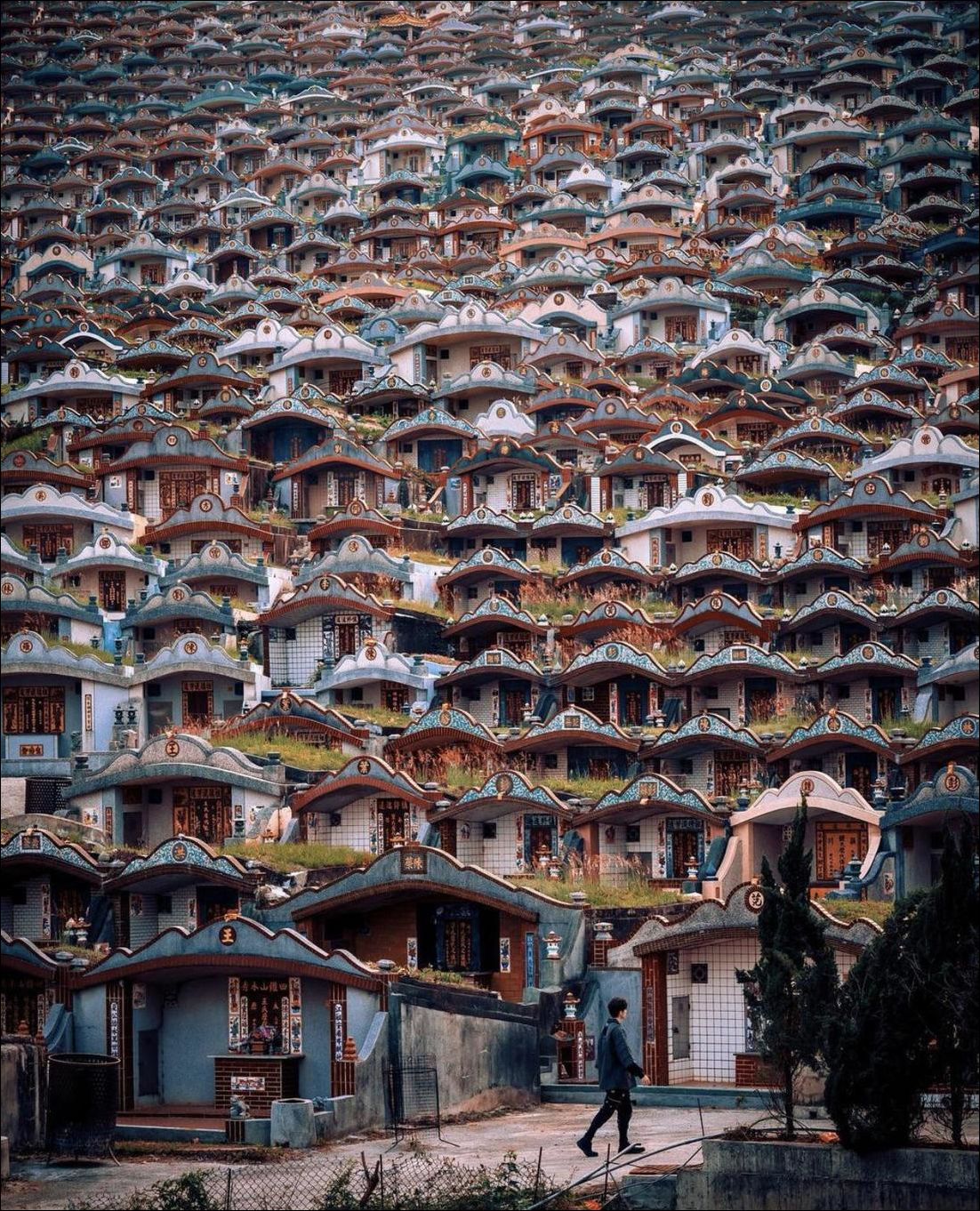 фото приколы