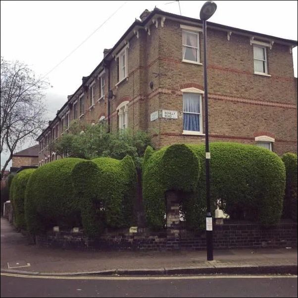 фото приколы