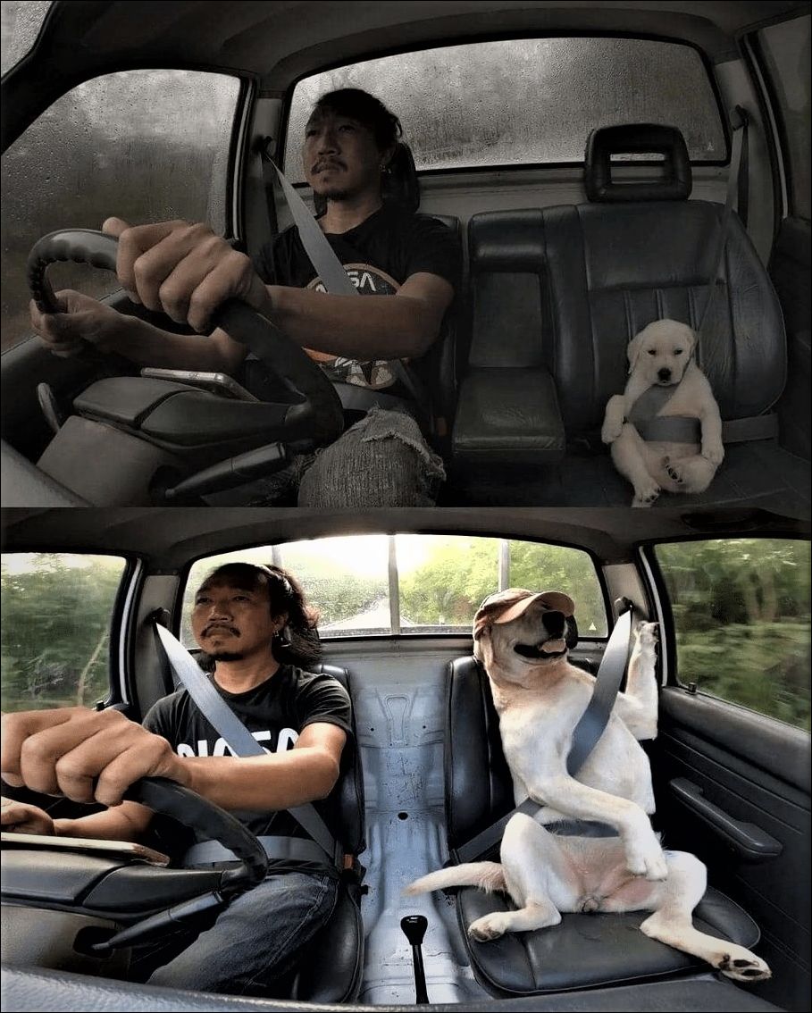 фото приколы