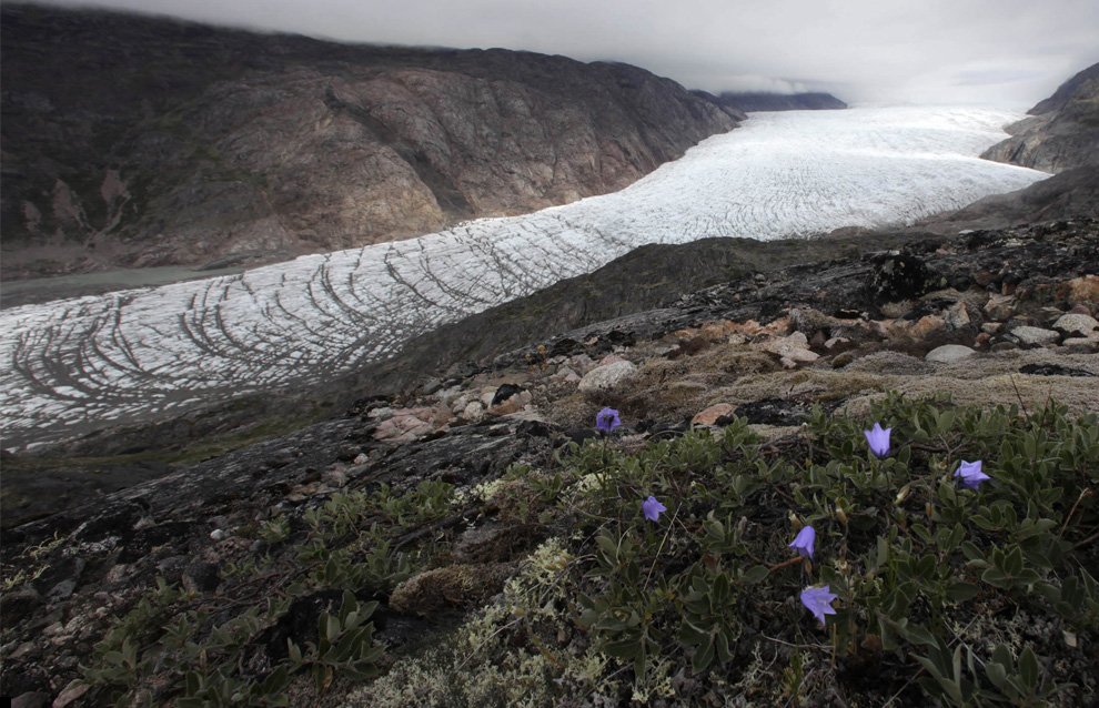 greenland-10