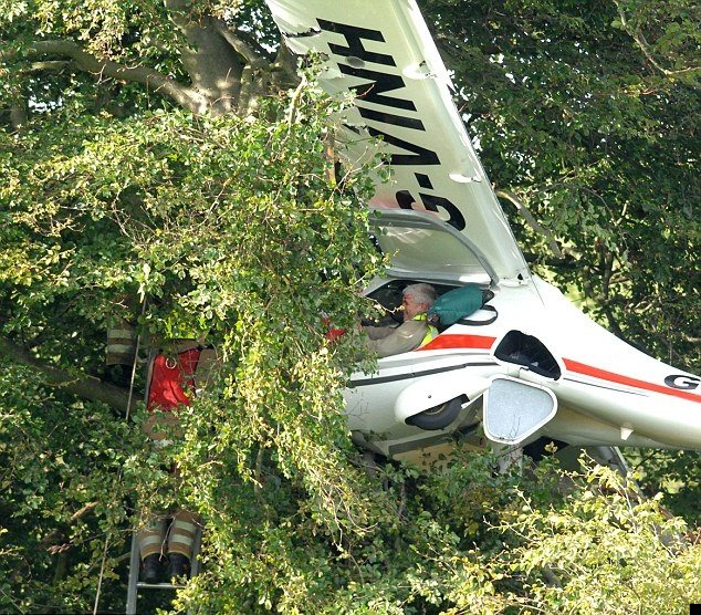 plane-crash-tree-01