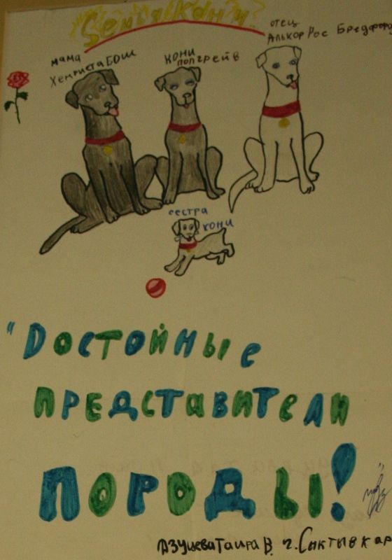 deti-risuyut-putina-07