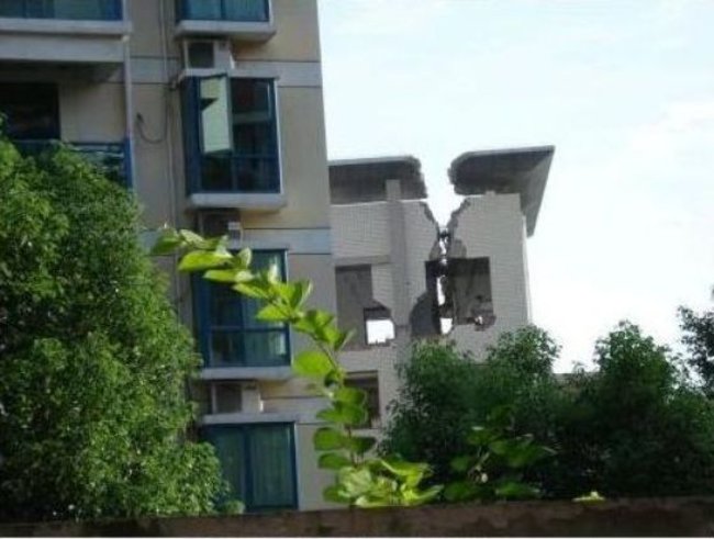 snos-doma-vruchnuyu-04