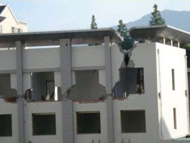 snos-doma-vruchnuyu-06