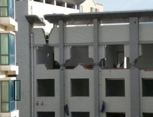 snos-doma-vruchnuyu-07