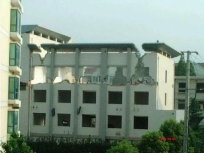 snos-doma-vruchnuyu-08