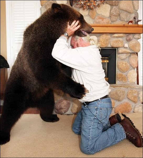 Семья из Ванкувера держит у себя дома медвежонка
