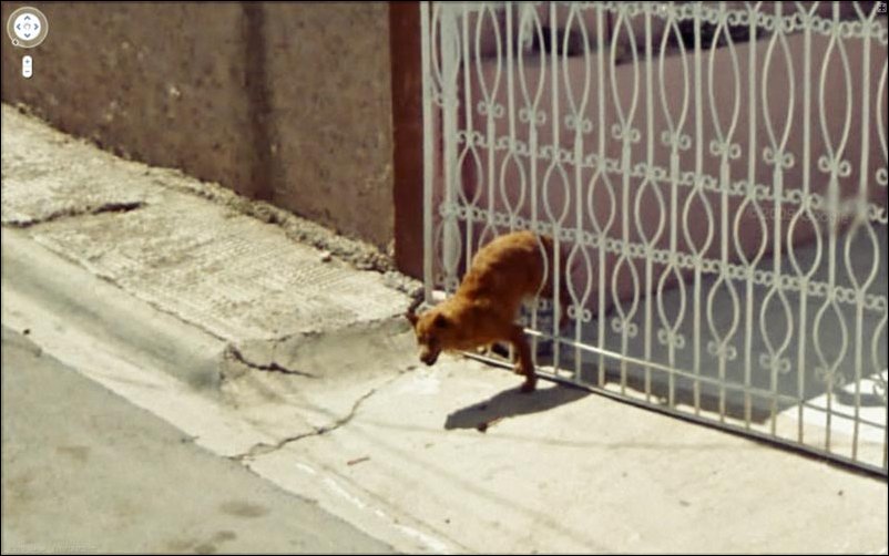 Интересное на Google Street View