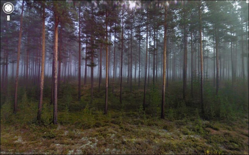 Интересное на Google Street View