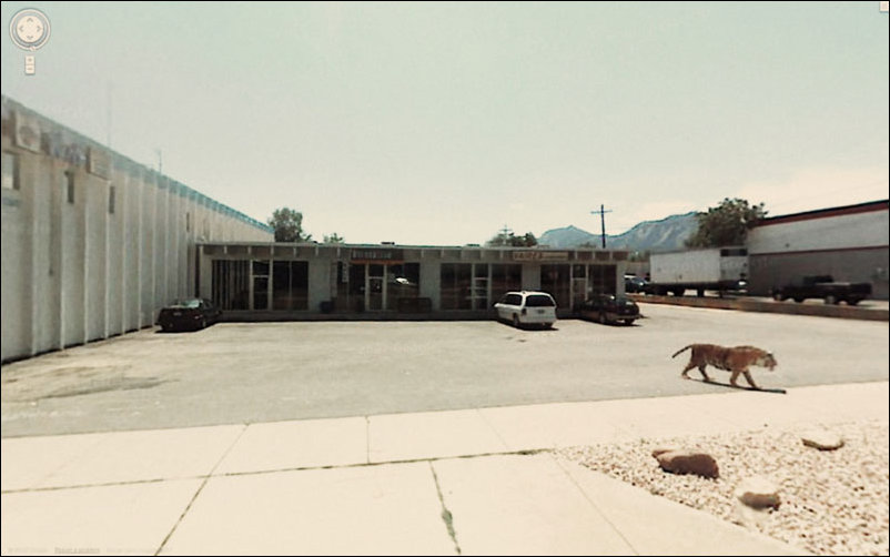 Интересное на Google Street View