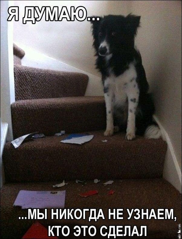 Подборка фотографий