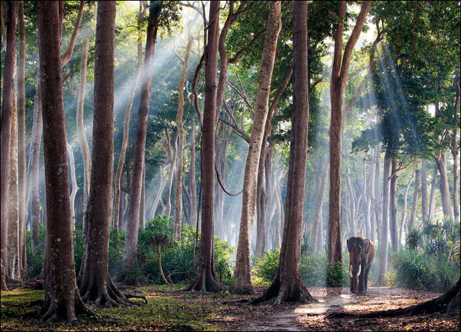 Подборка фотографий