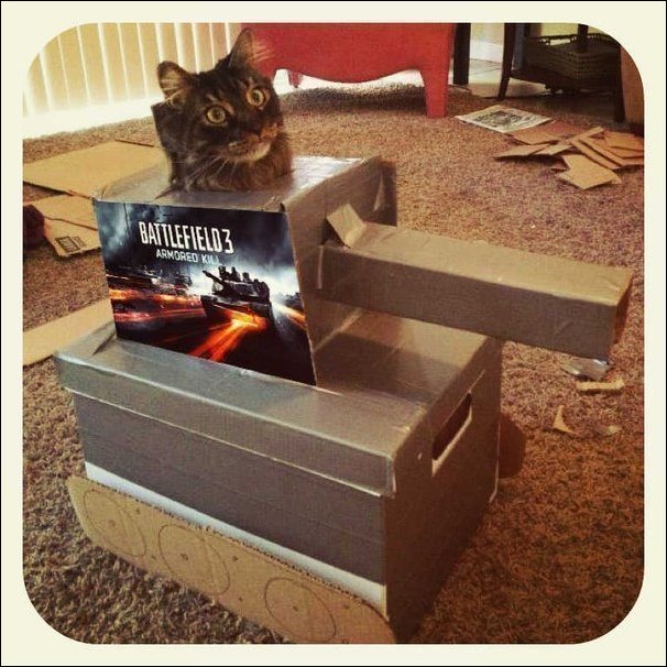 Подборка фотографий