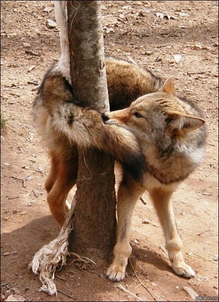 Подборка фотографий