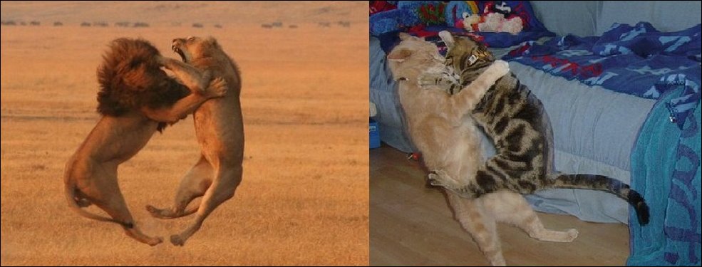 Подборка фотографий