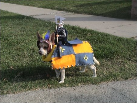 Подборка фотографий