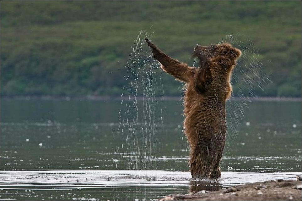 Подборка фотографий