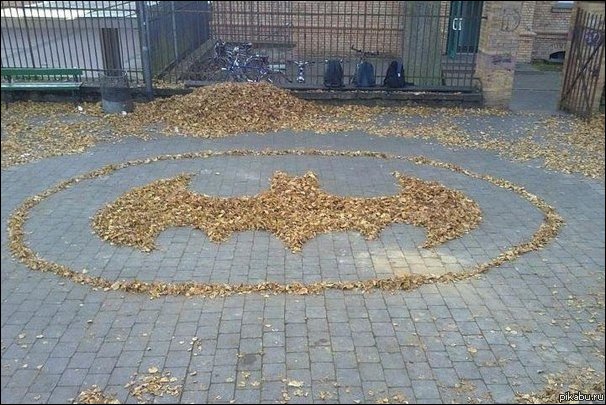 Подборка фотографий