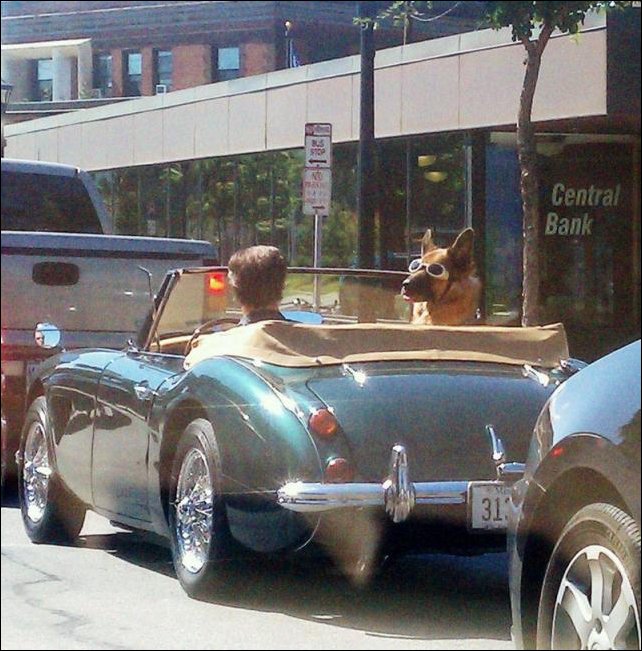 Подборка фотографий