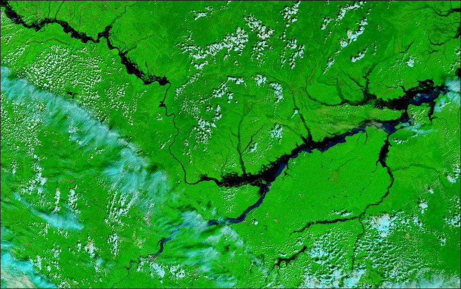 Сведение лесов в бассейнах рек приводит. Дельта реки Амур. Дельта реки Амур с космоса. Бассейн реки Амур 2013. Бассейн реки из космоса.