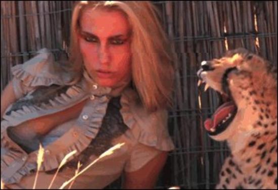 Прикольные гифки