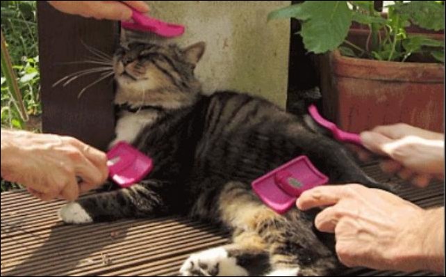 Прикольные гифки