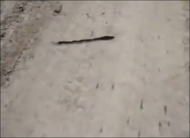 Мышиный паровозик