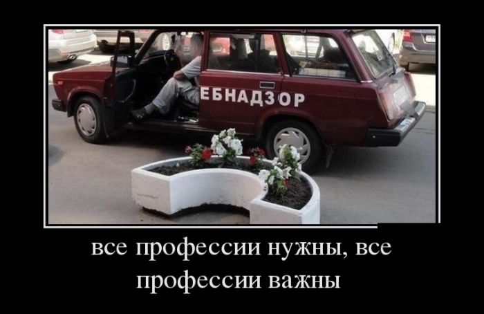 Демотиватор