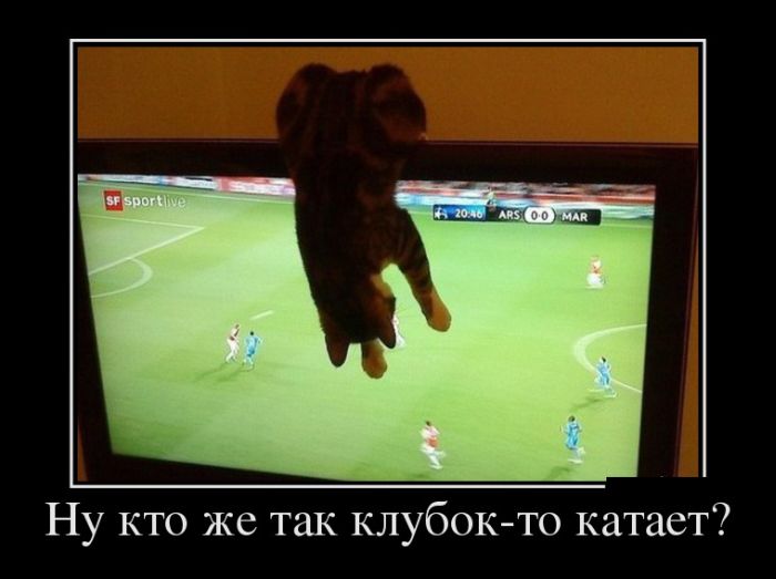 Демотиватор