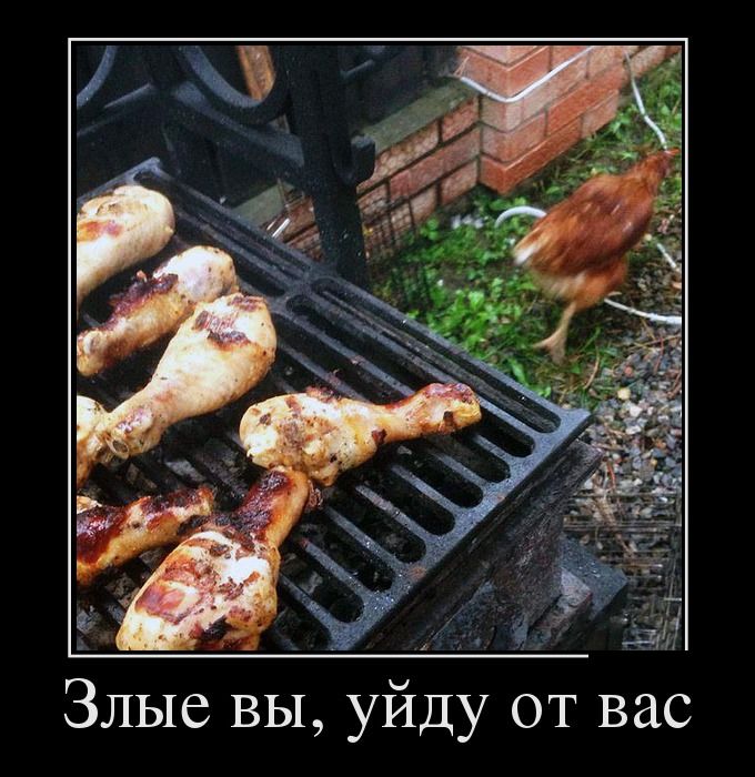 Демотиватор