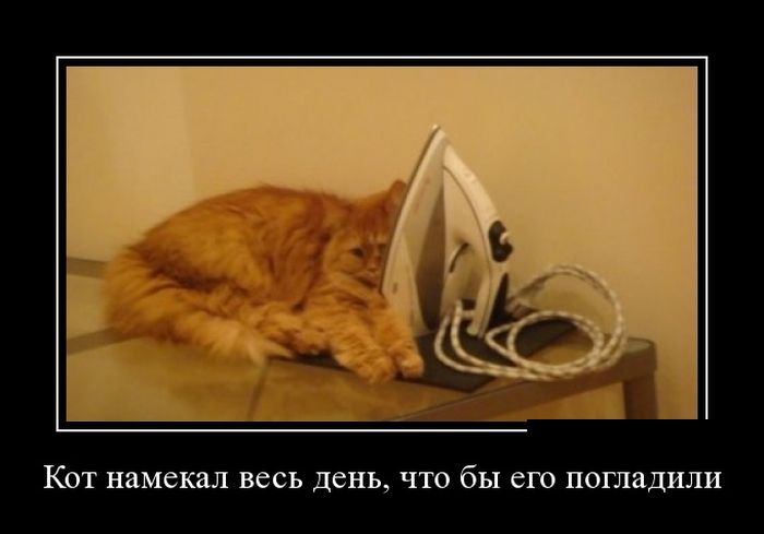 Демотиватор