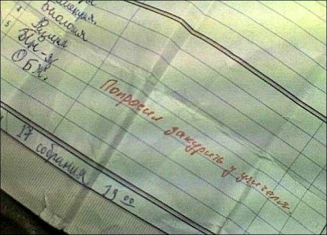 Записи в школьных дневниках