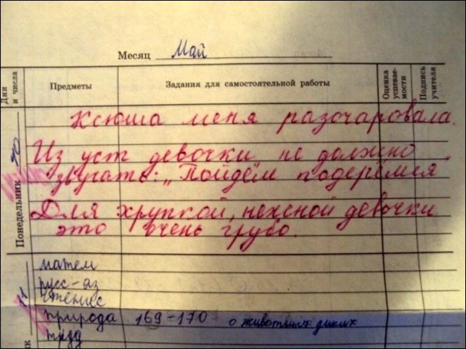 Записи в школьных дневниках