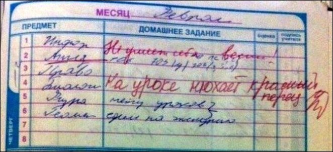 Записи в школьных дневниках