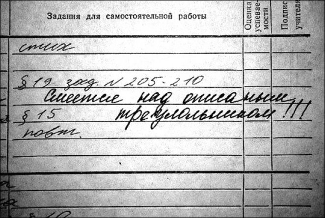 Записи в школьных дневниках