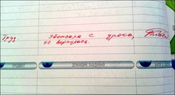 Записи в школьных дневниках