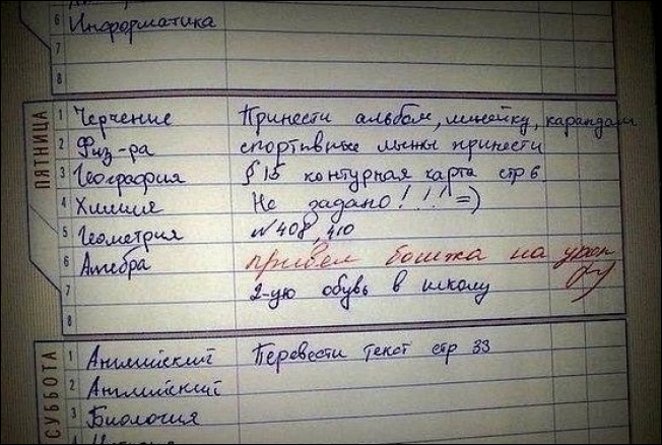 Записи в школьных дневниках
