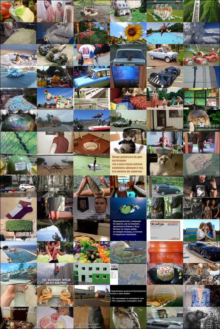 Фото приколы