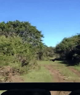 Прикольные гифки