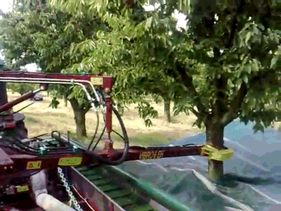 Прикольные гифки