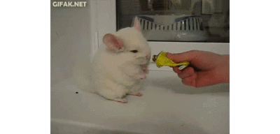 Прикольные гифки