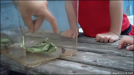 Прикольные гифки